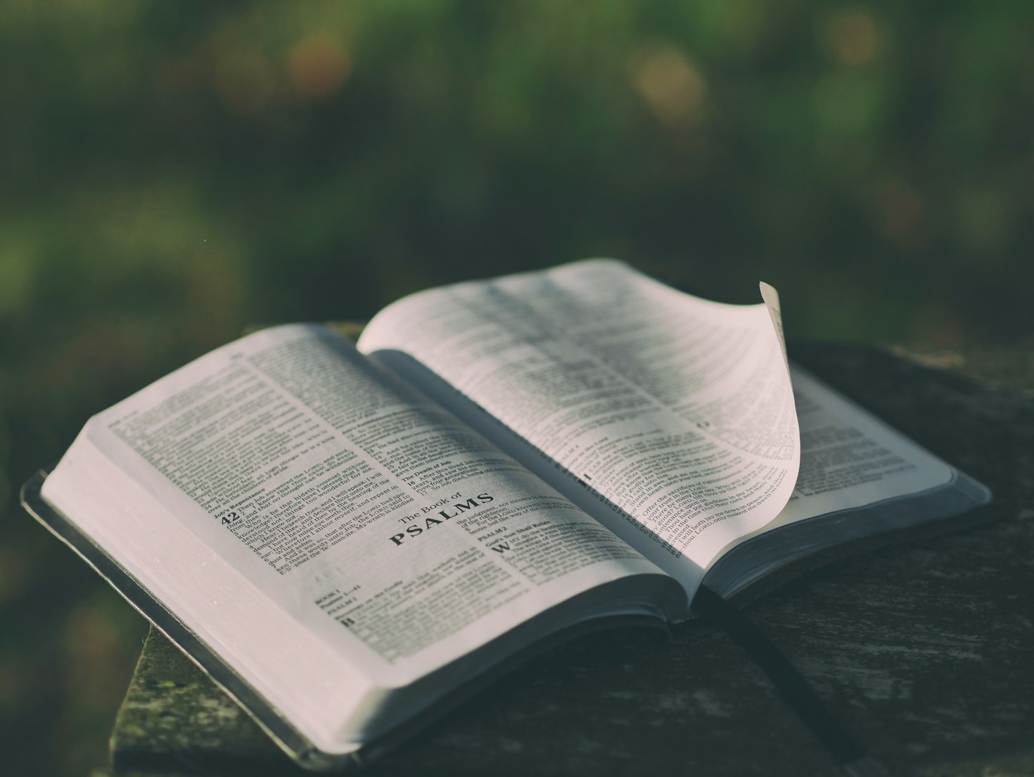 Prayers to Help You Navigate Times of Grief